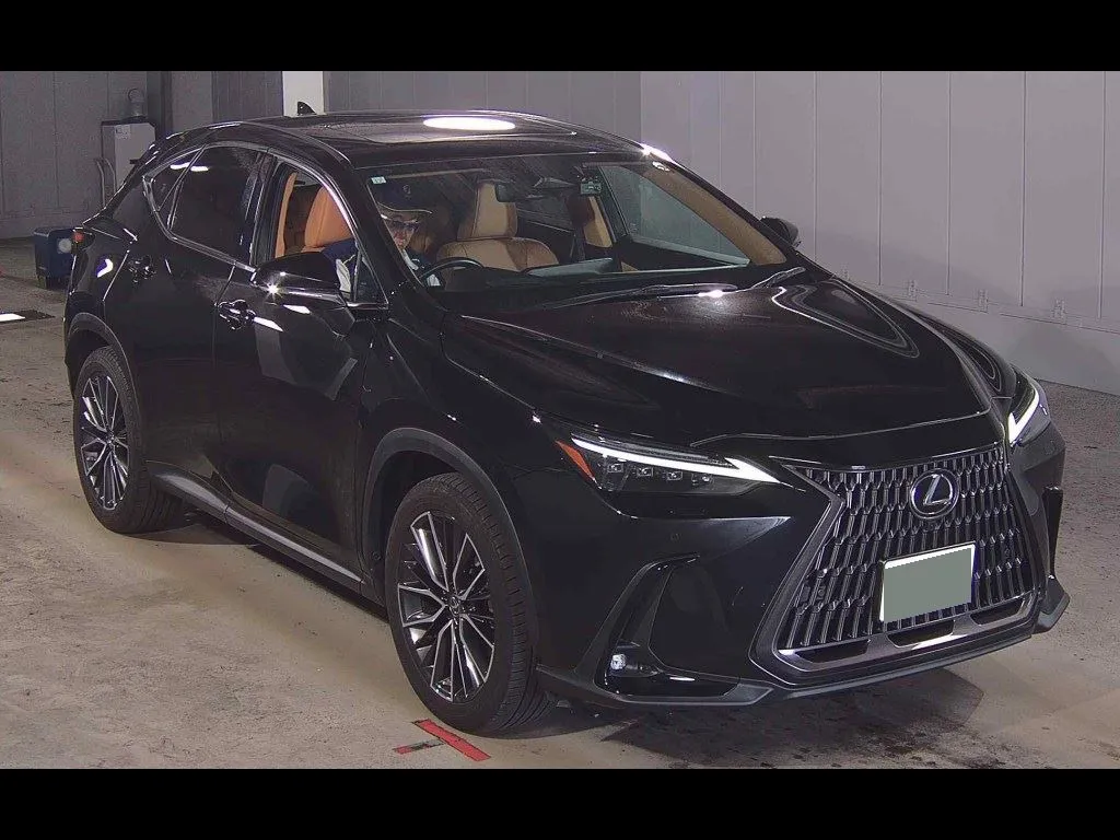 LEXUS NX NX250 VERSION L