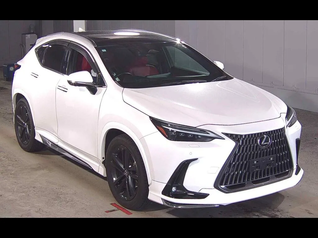 LEXUS NX NX250 VERSION L