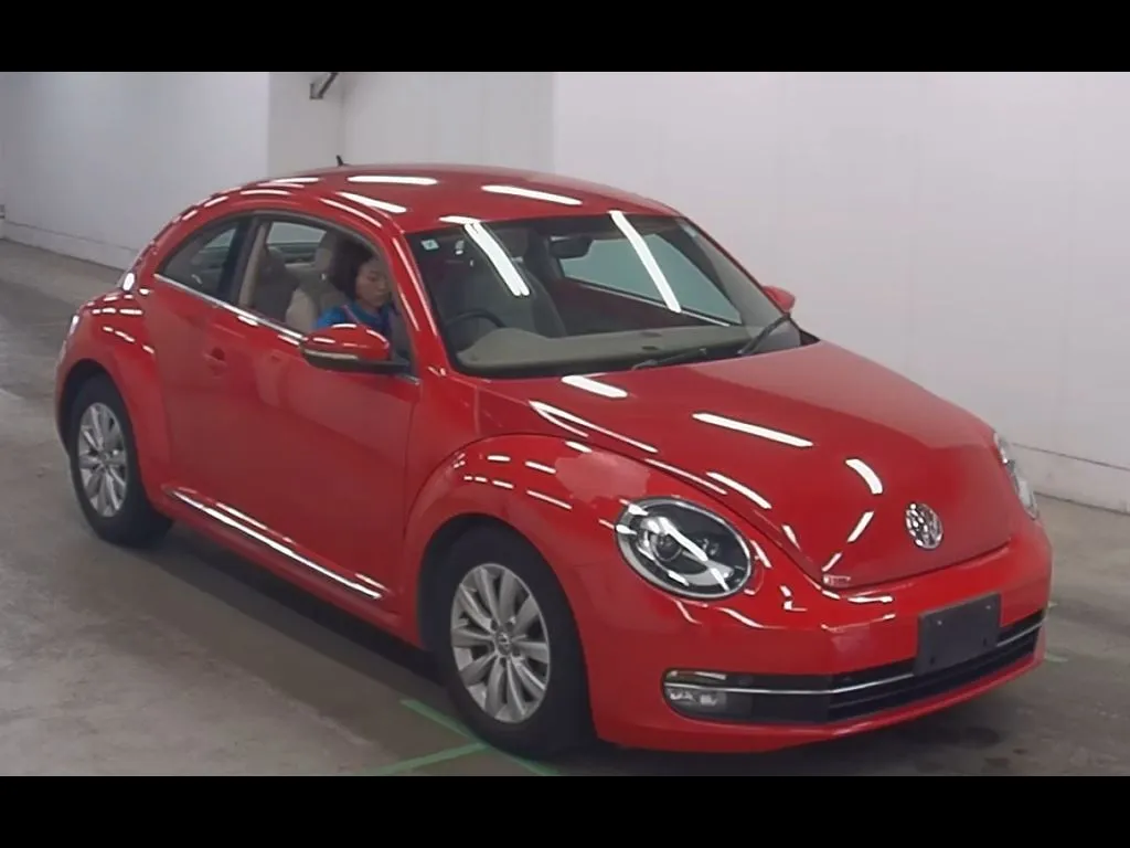VOLKSWAGEN THE BEETLE OTHERS