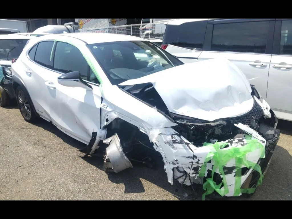 LEXUS UX UX250H F SPORT