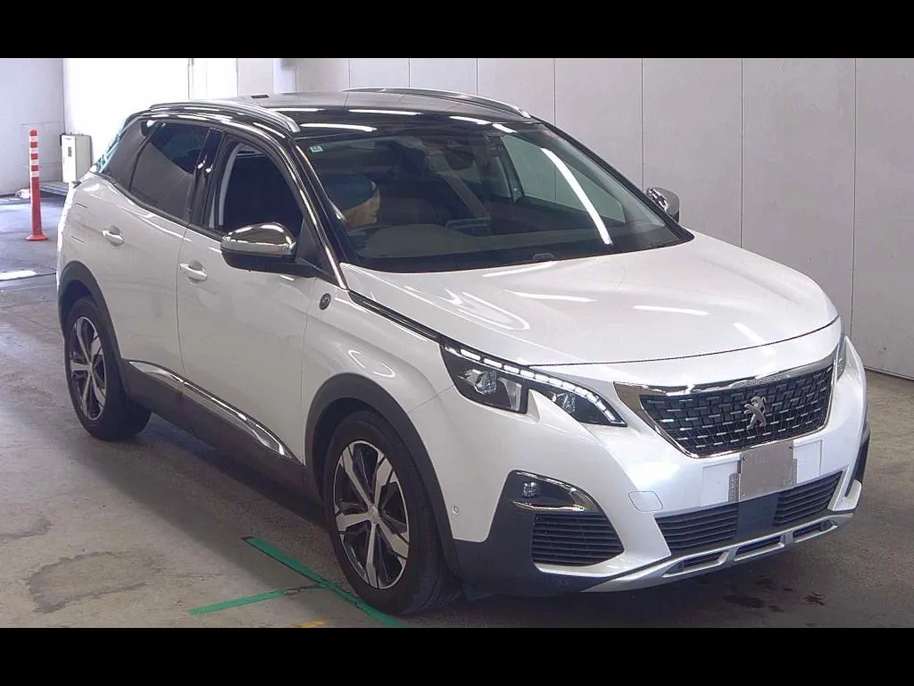 PEUGEOT 3008 CROSSCITY