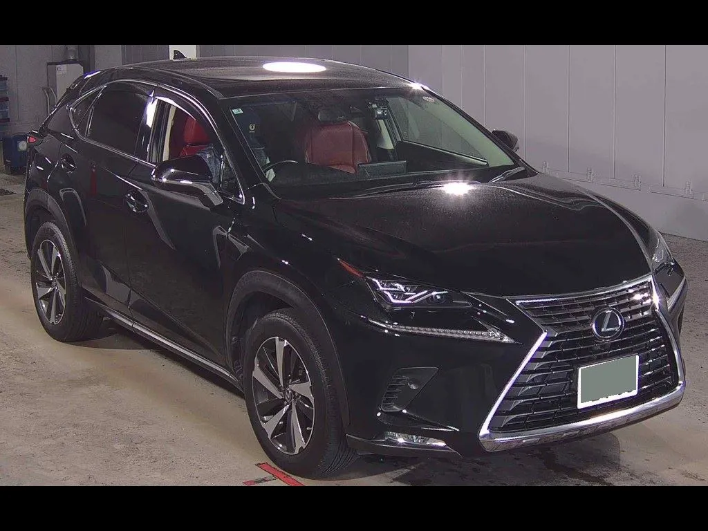 LEXUS NX NX300 I PACKAGE