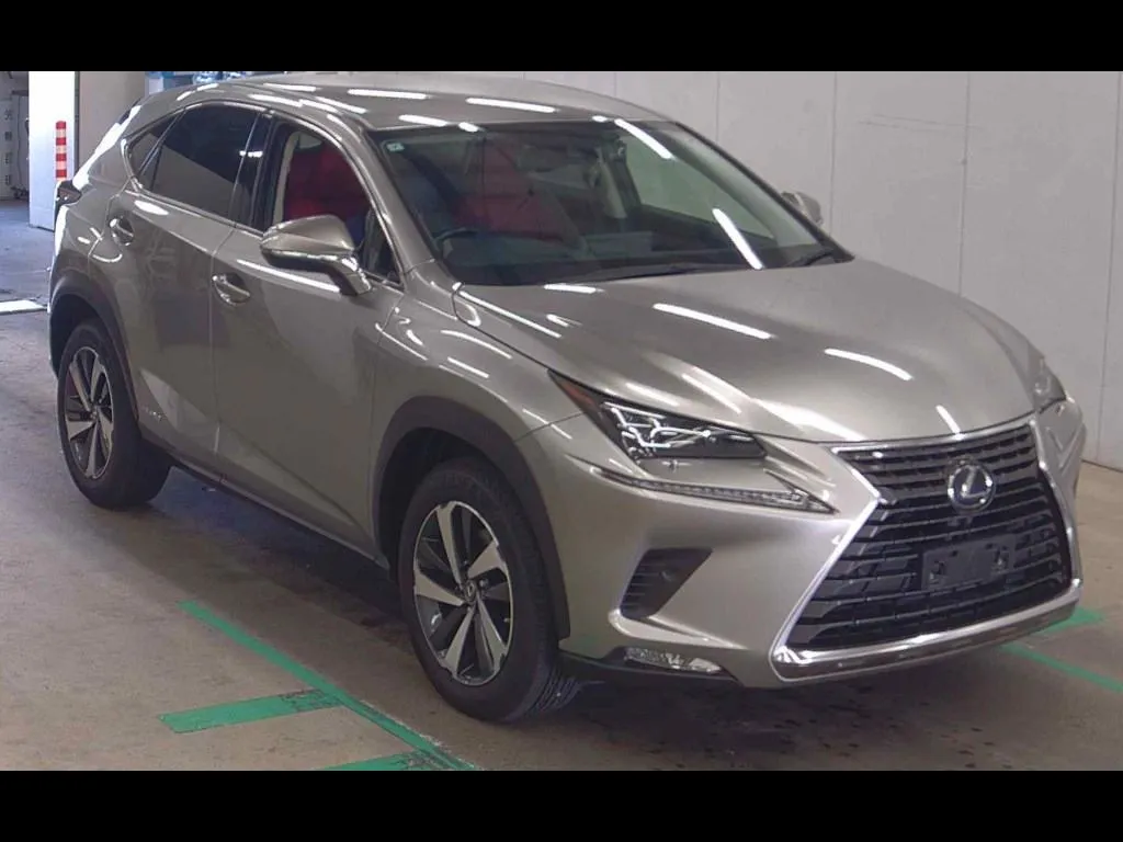 LEXUS NX NX300H I PACKAGE