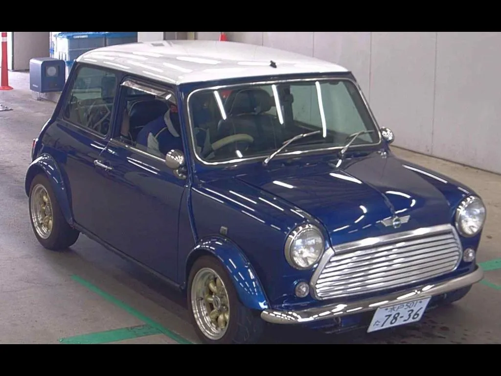 ROVER MINI 2D COOPER