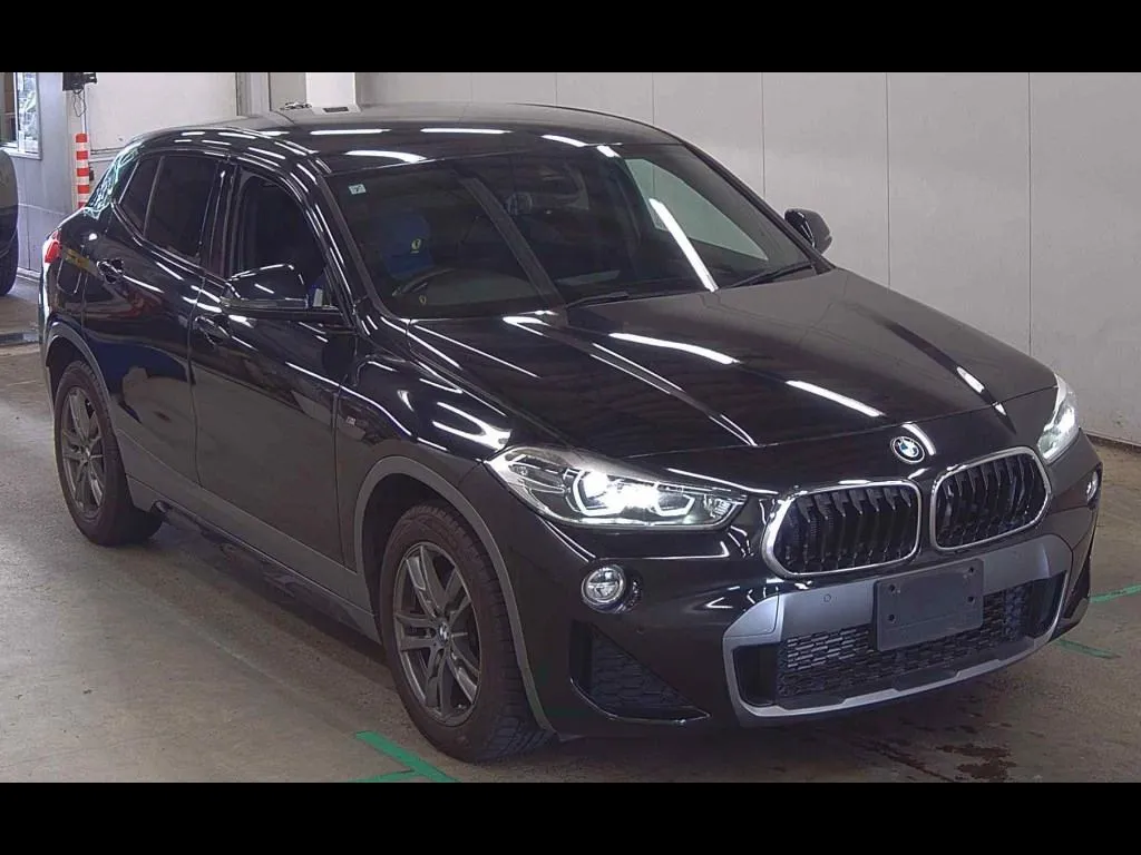 BMW X2 4WD XDRIVE 18D M SPORT X