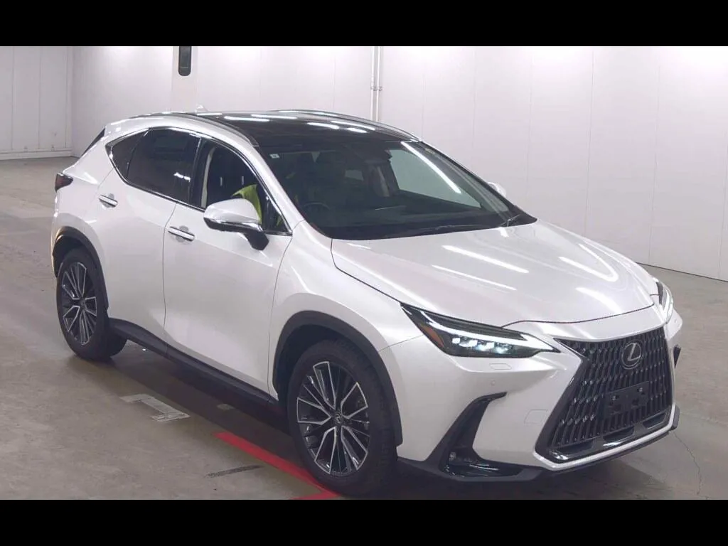 LEXUS NX NX250 VERSION L