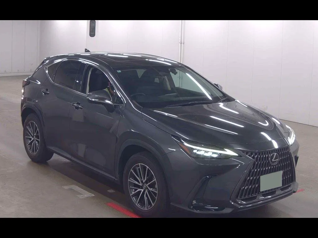 LEXUS NX NX250 VERSION L