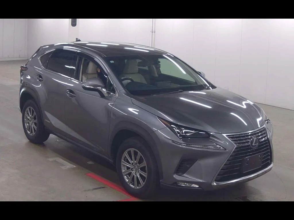 LEXUS NX NX300H I PACKAGE