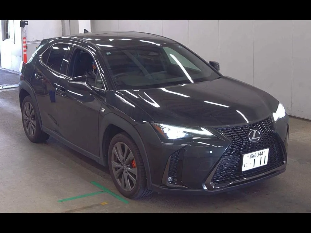 LEXUS UX UX300H F SPORT