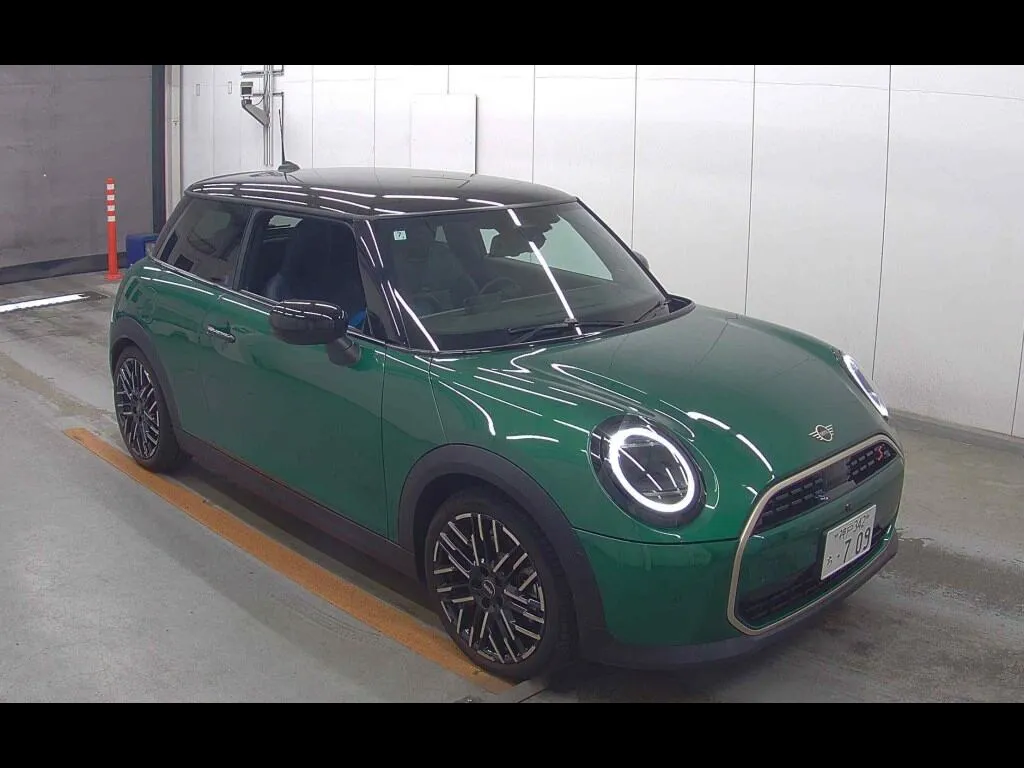 MINI MINI 3D OTHERS