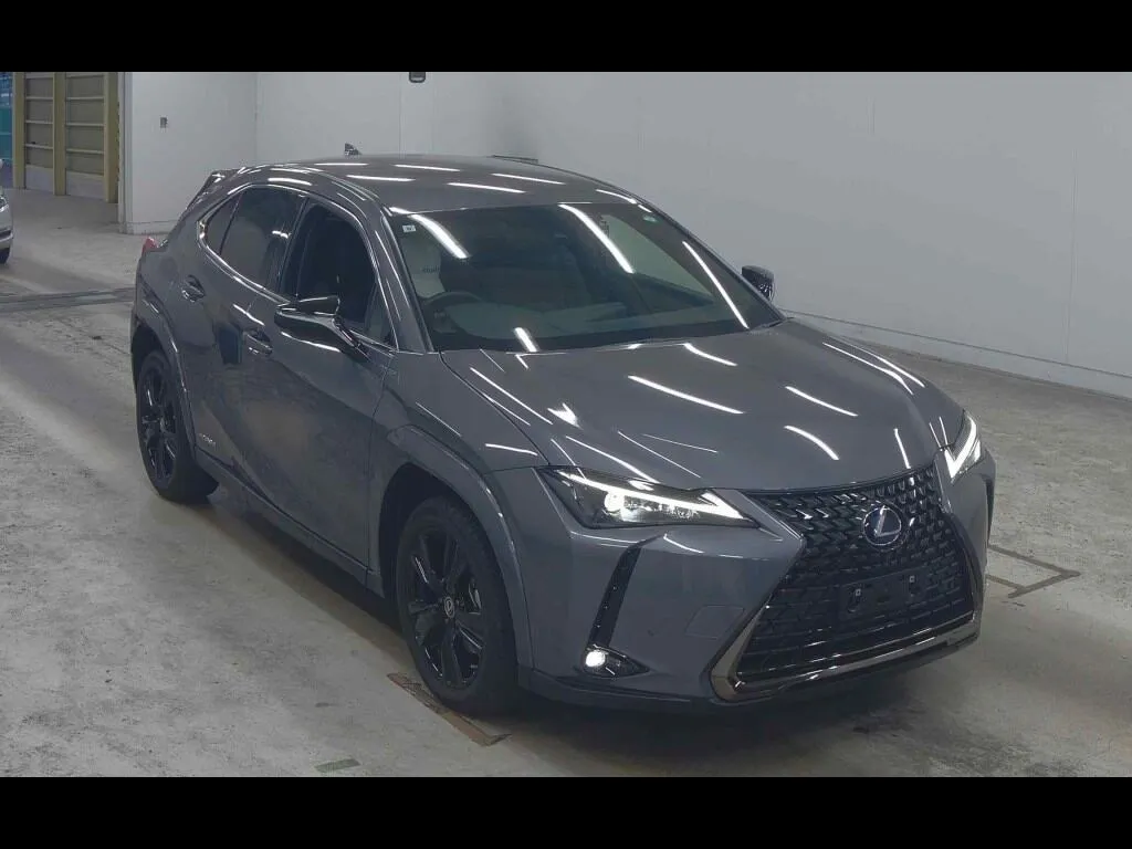 LEXUS UX UX250H ELEGANT BLACK