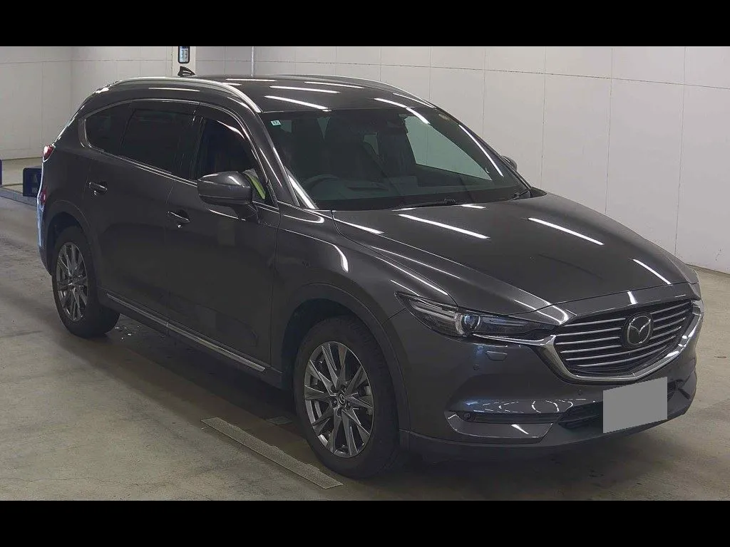 MAZDA CX-8 4WD 25T L PACKAGE