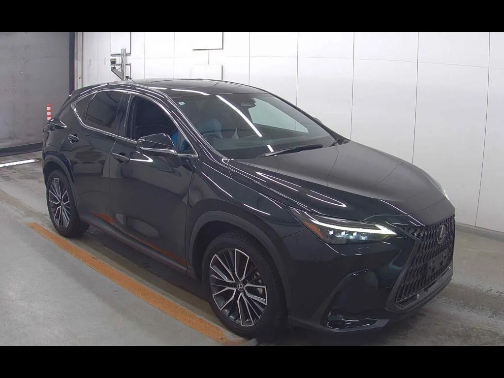 LEXUS NX 4WD NX450H+ VERSION L