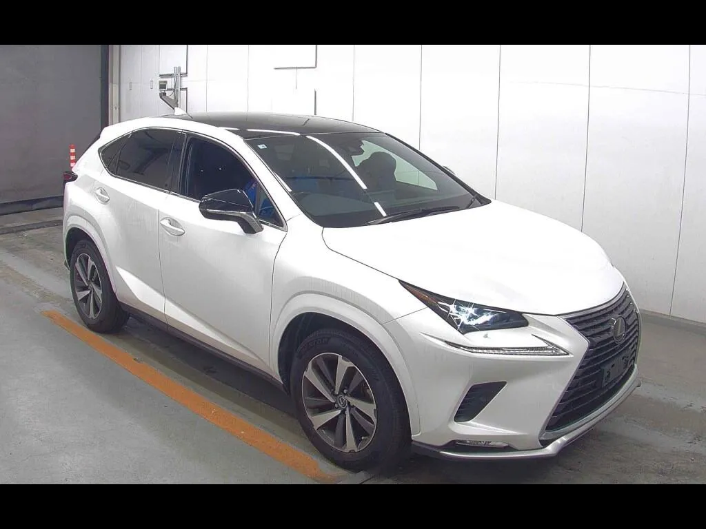 LEXUS NX NX300 SPECIAL EDITION SPICE AND CHIC