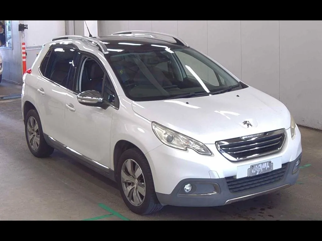 PEUGEOT 2008 CIELO