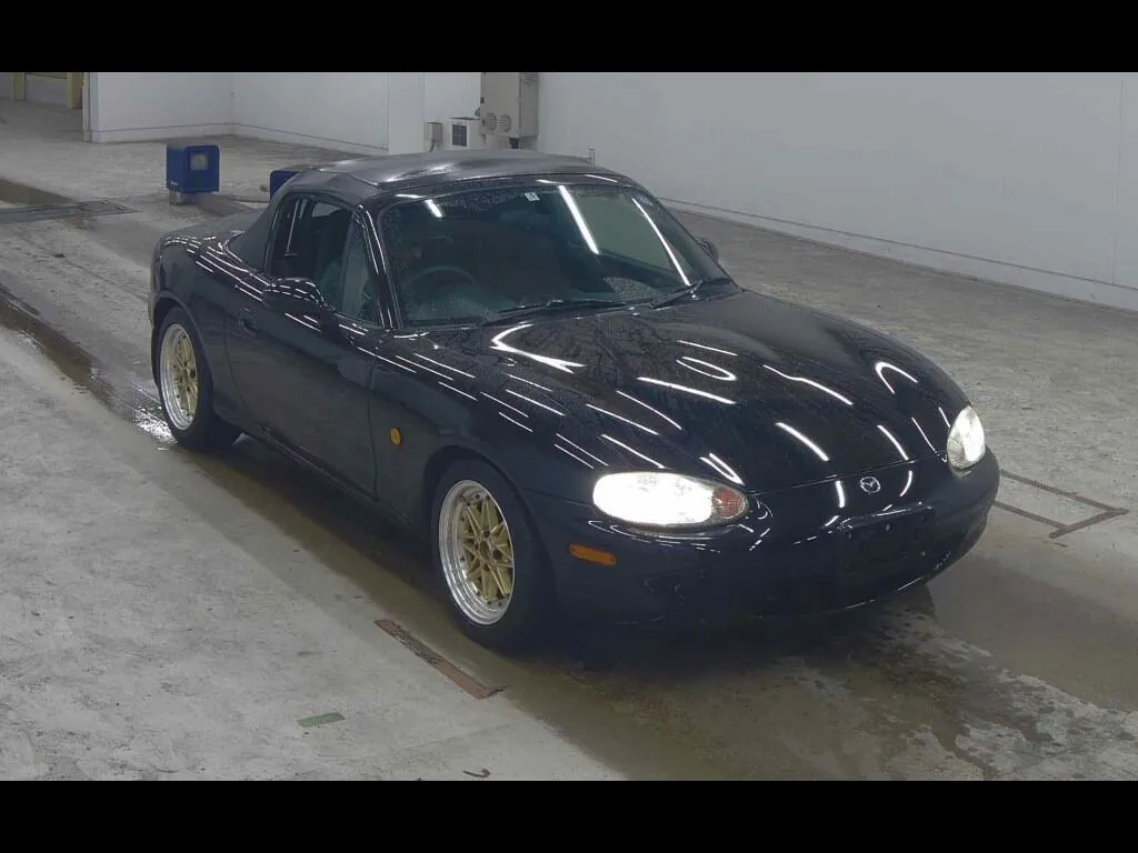 MAZDA ROADSTER SPECIAL PACKAGE