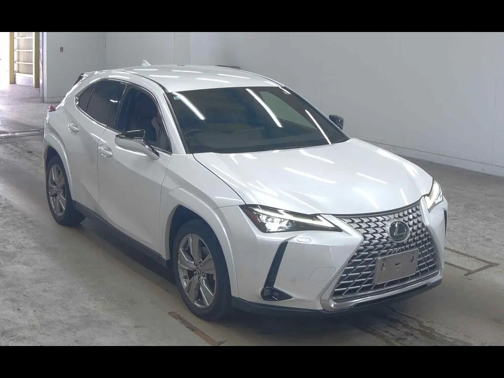 LEXUS UX 4WD UX250H GRACEFUL EXPLORER