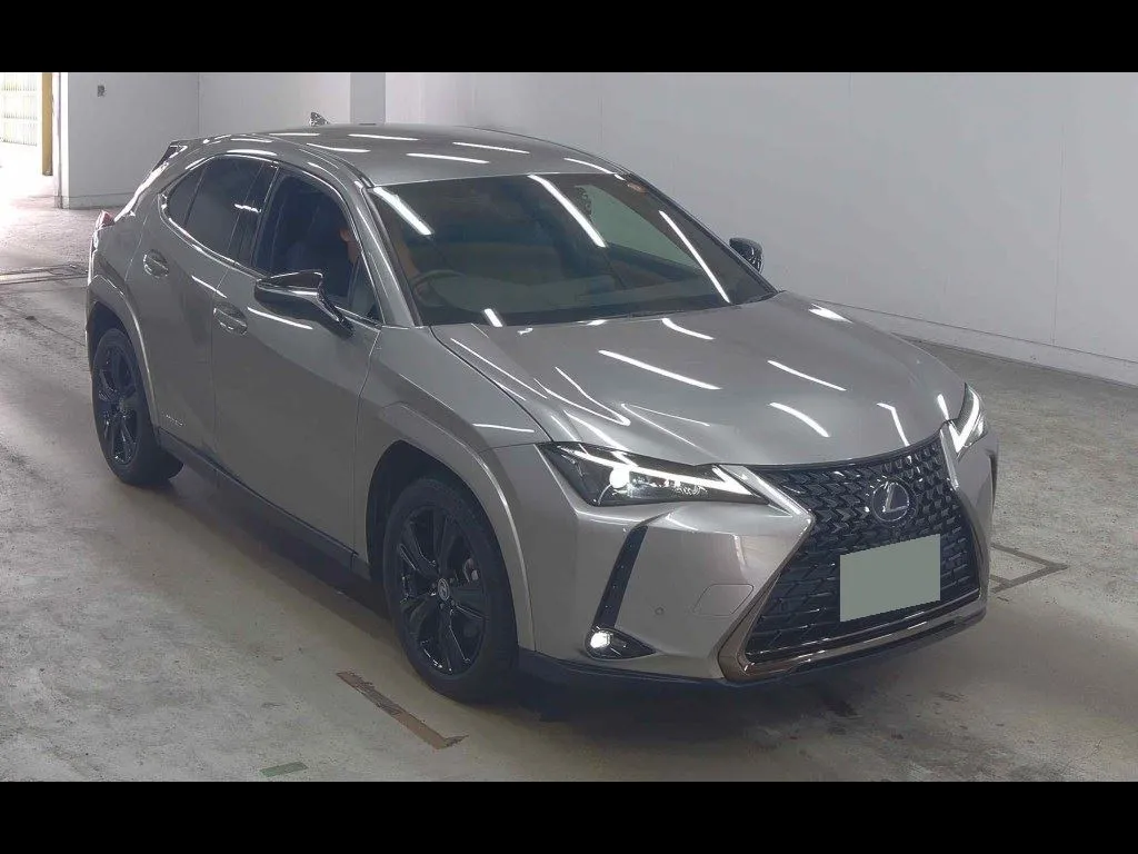 LEXUS UX UX250H ELEGANT BLACK
