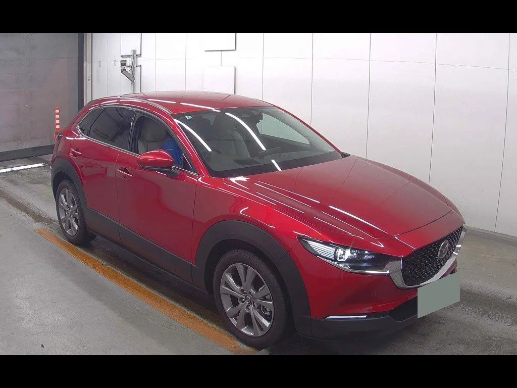 MAZDA CX-30 OTHERS