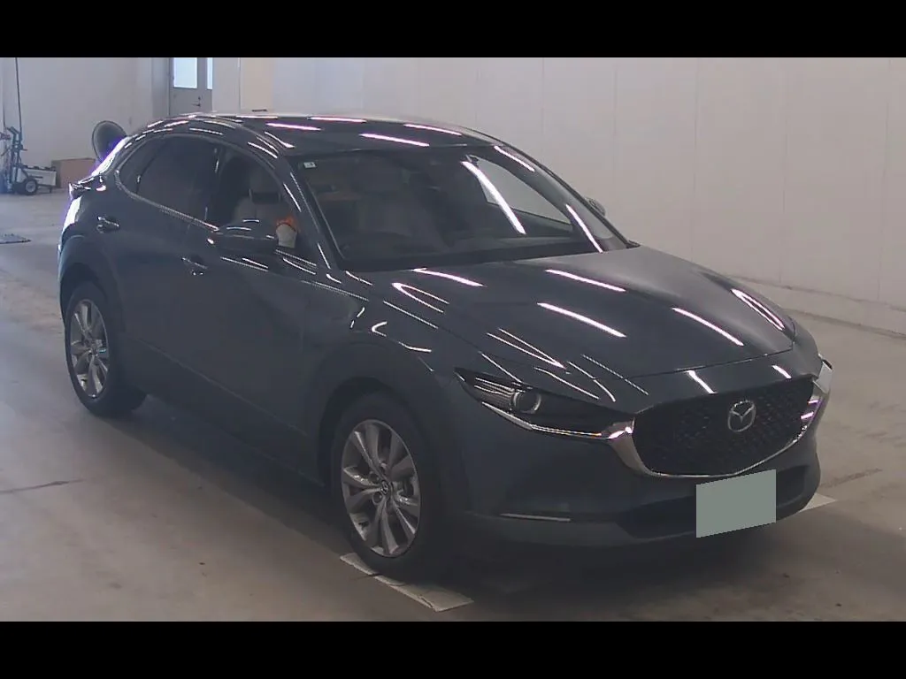 MAZDA CX-30 20S L PACKAGE