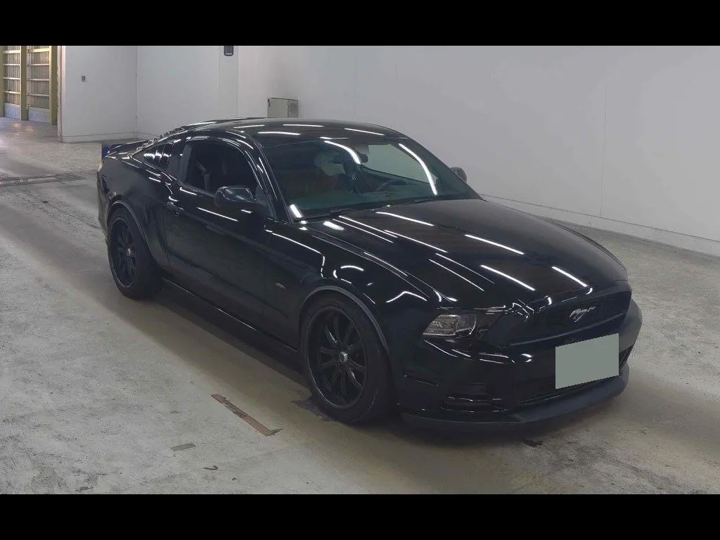 FORD MUSTANG CP OTHERS