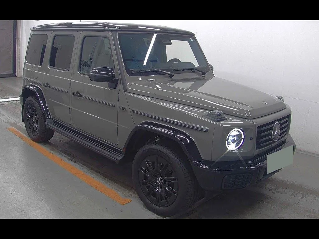 MERCEDES BENZ G-CLASS 5D 4WD OTHERS