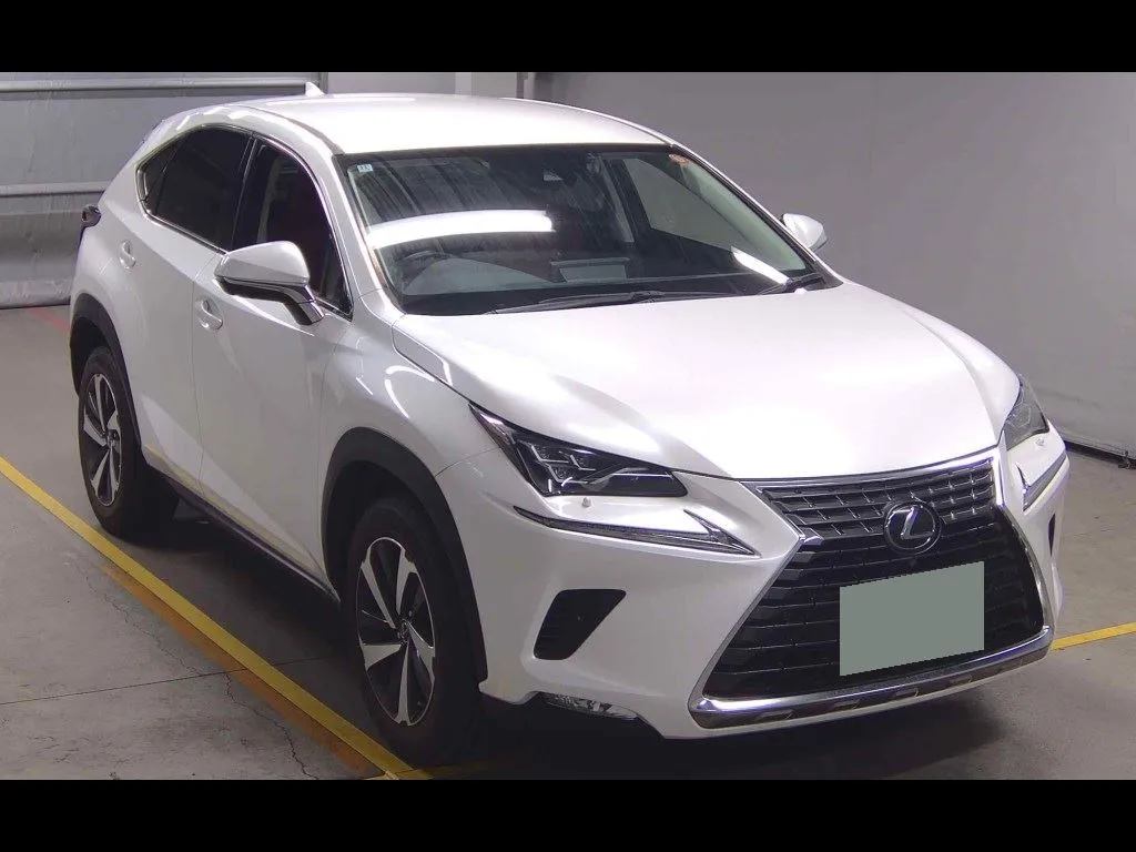 LEXUS NX NX300 I PACKAGE