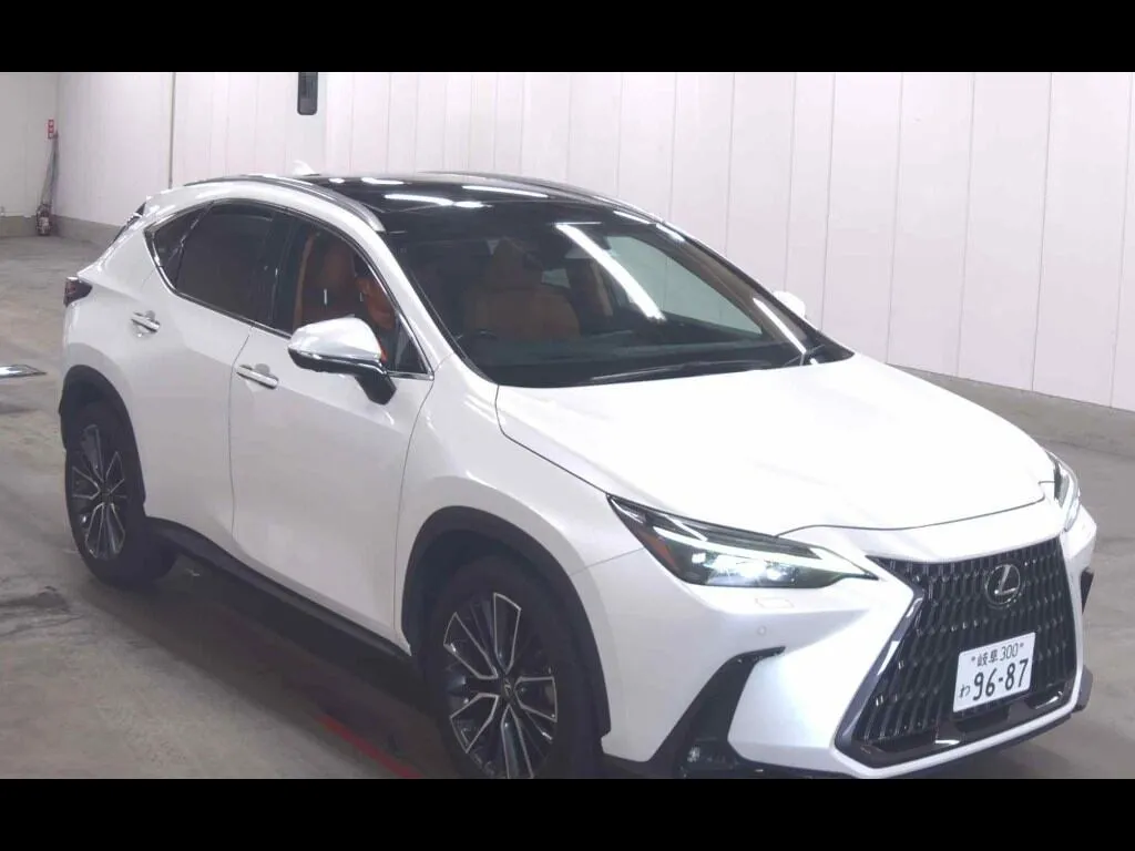 LEXUS NX NX250 VERSION L