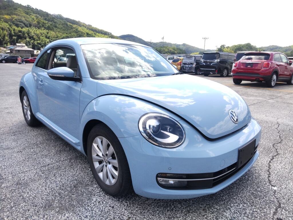 VOLKSWAGEN THE BEETLE